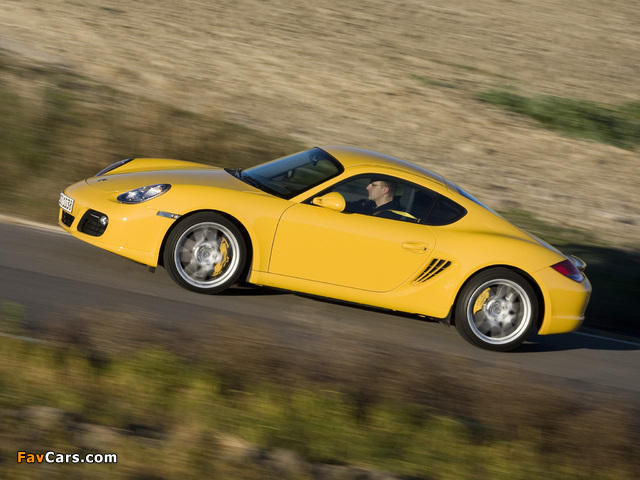Photos of Porsche Cayman S (987C) 2009 (640 x 480)