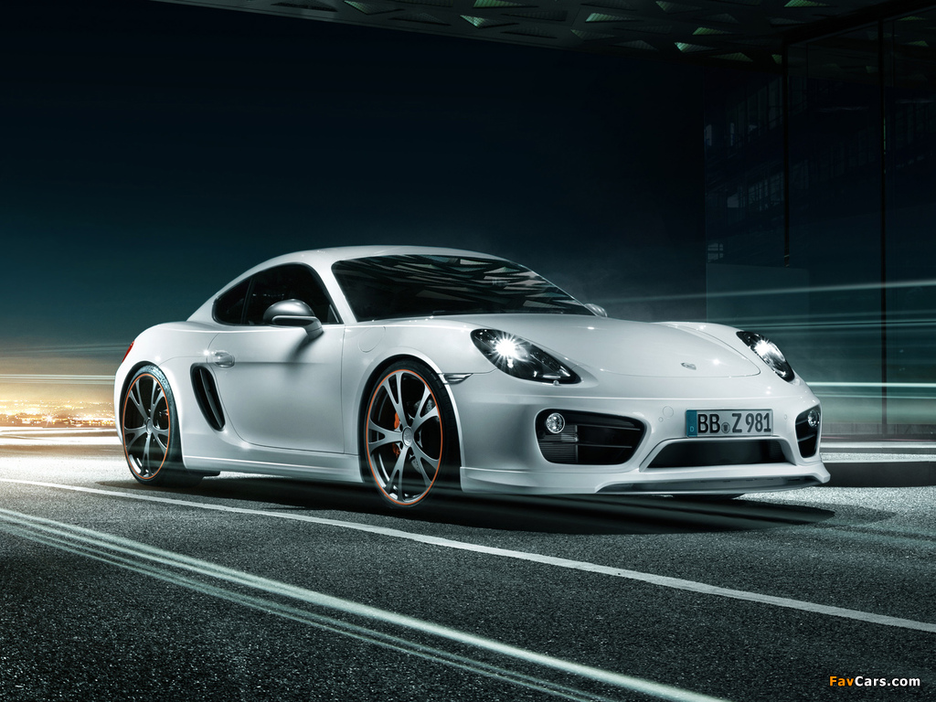 Photos of TechArt Porsche Cayman (981C) 2013 (1024 x 768)