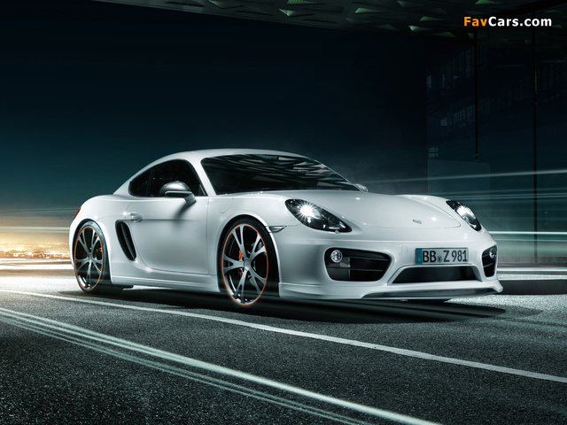 Photos of TechArt Porsche Cayman (981C) 2013 (640 x 480)