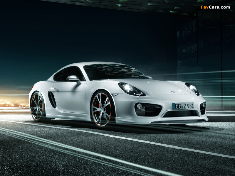 Photos of TechArt Porsche Cayman (981C) 2013 (800 x 600)