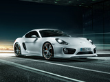 Photos of TechArt Porsche Cayman (981C) 2013