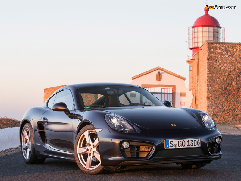 Photos of Porsche Cayman (981C) 2013 (800 x 600)