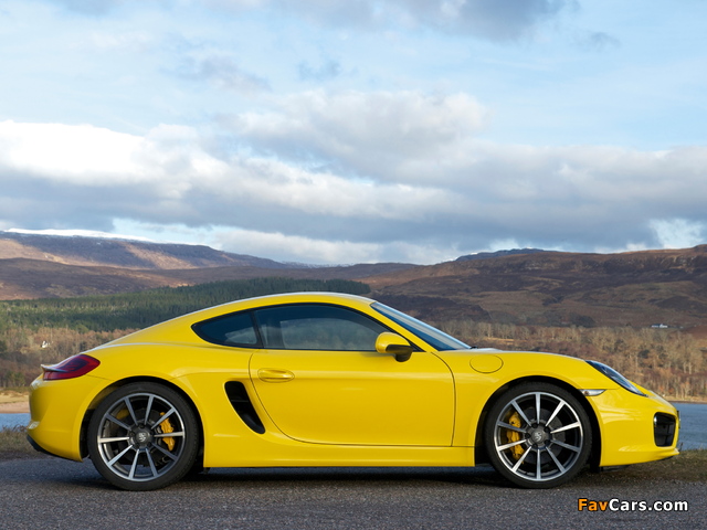 Photos of Porsche Cayman S UK-spec (981C) 2013 (640 x 480)