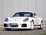 Pictures of 9ff Cayman S CR-42 (987C) 2006