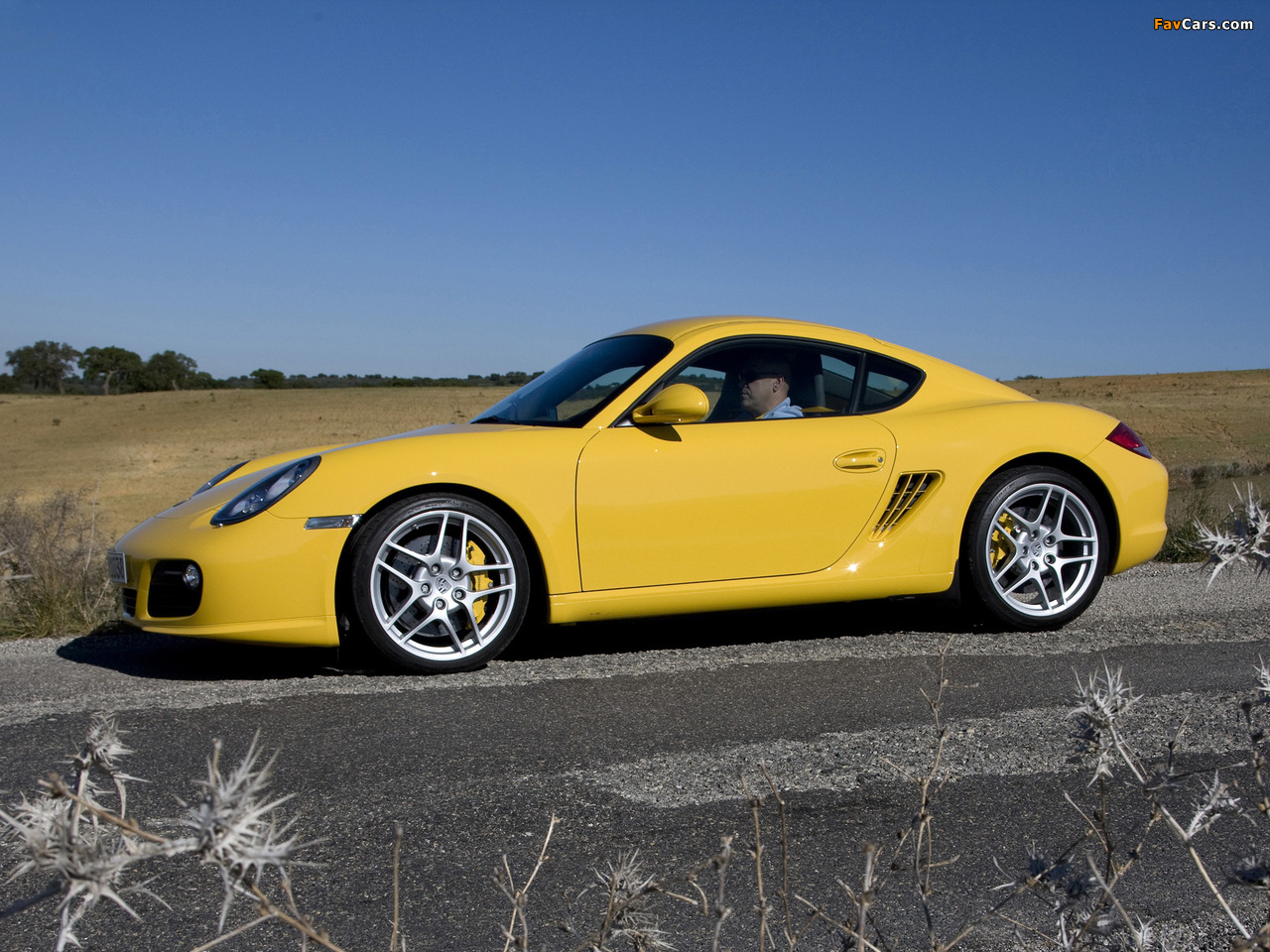 Pictures of Porsche Cayman S (987C) 2009 (1280 x 960)