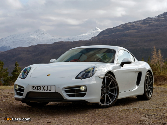 Pictures of Porsche Cayman UK-spec (981C) 2013 (640 x 480)