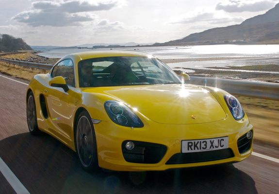 Pictures of Porsche Cayman S UK-spec (981C) 2013