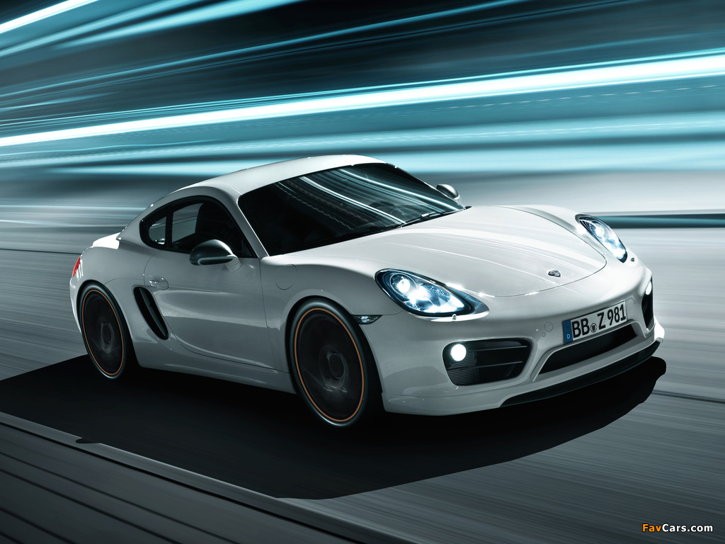 Pictures of TechArt Porsche Cayman (981C) 2013 (1024 x 768)