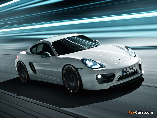 Pictures of TechArt Porsche Cayman (981C) 2013 (640 x 480)