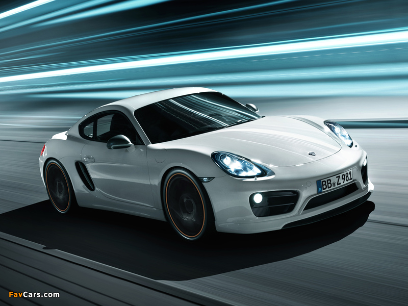 Pictures of TechArt Porsche Cayman (981C) 2013 (800 x 600)