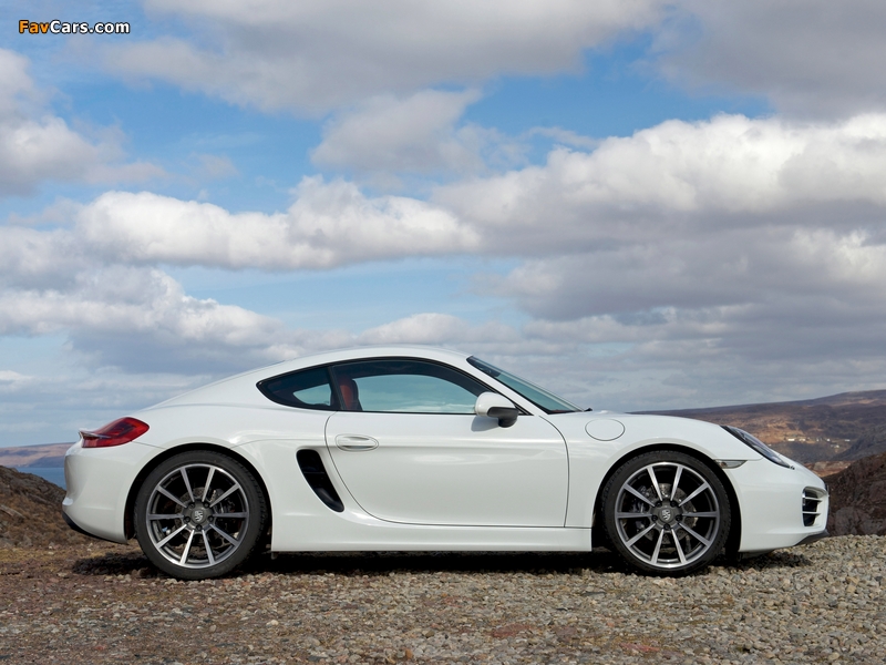 Pictures of Porsche Cayman UK-spec (981C) 2013 (800 x 600)