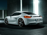 Pictures of TechArt Porsche Cayman (981C) 2013