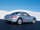 Porsche Cayman S (987C) 2006–08 images