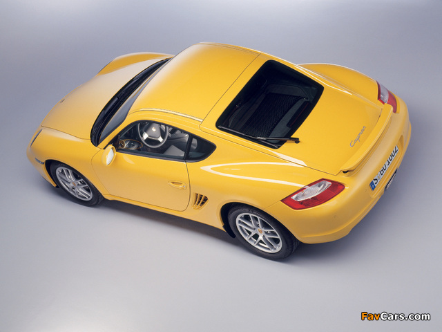 Porsche Cayman (987C) 2006–08 photos (640 x 480)