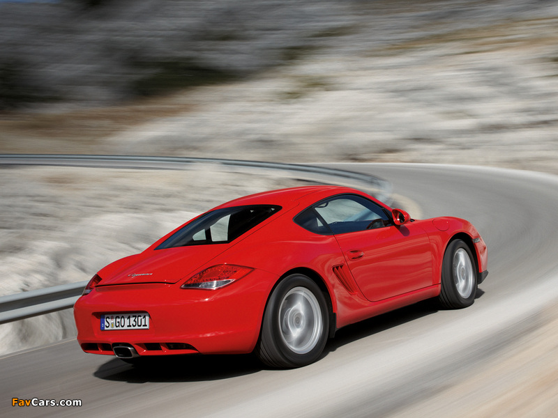 Porsche Cayman (987C) 2009–12 images (800 x 600)