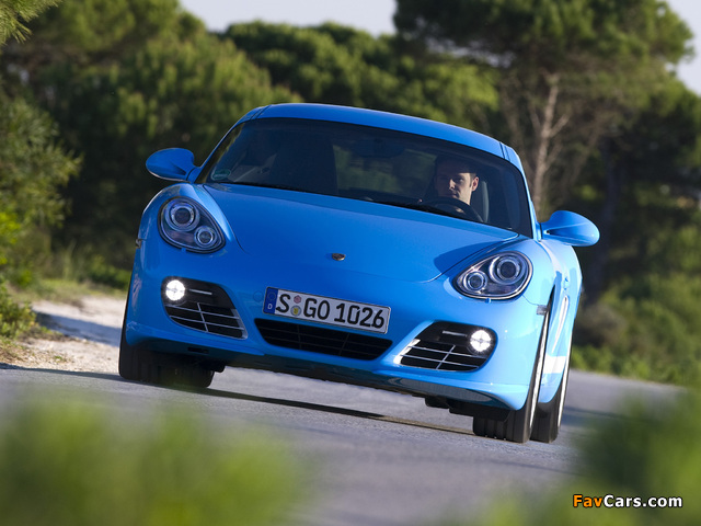 Porsche Cayman S (987C) 2009 photos (640 x 480)