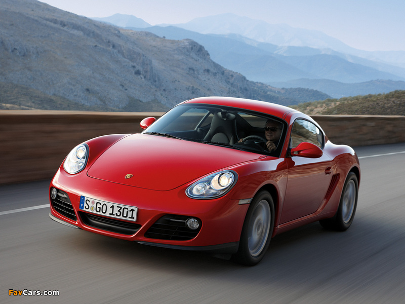 Porsche Cayman (987C) 2009–12 photos (800 x 600)