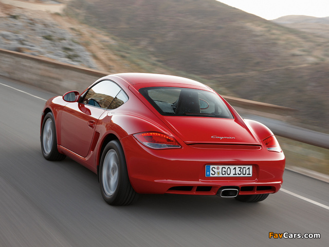 Porsche Cayman (987C) 2009–12 photos (640 x 480)