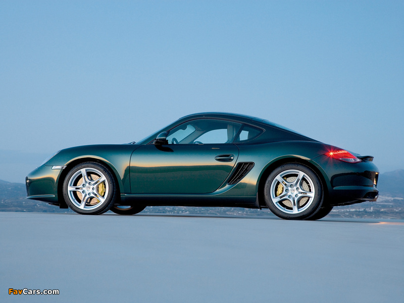 Porsche Cayman S (987C) 2009 pictures (800 x 600)