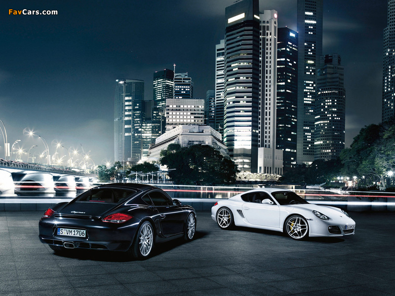 Porsche Cayman & Cayman S 2009 pictures (800 x 600)