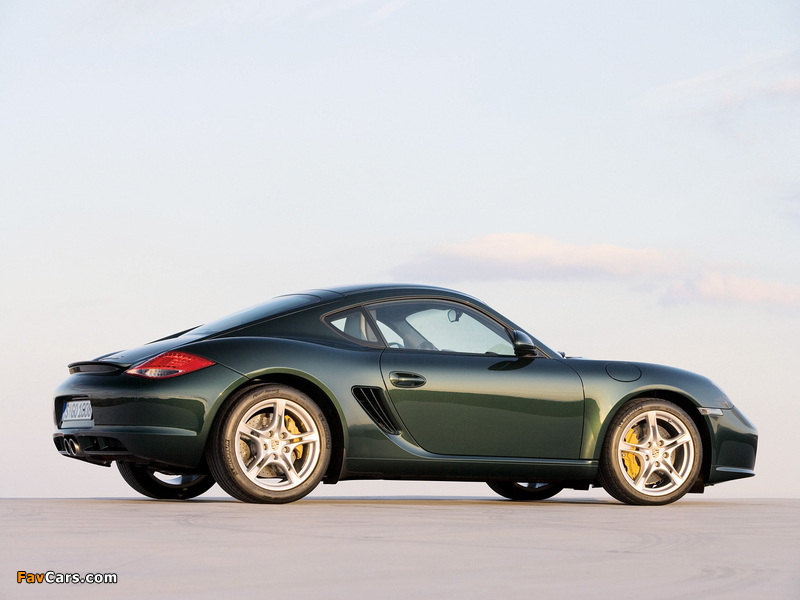 Porsche Cayman S (987C) 2009 wallpapers (800 x 600)