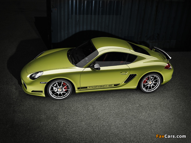 Porsche Cayman R (987C) 2010 photos (640 x 480)