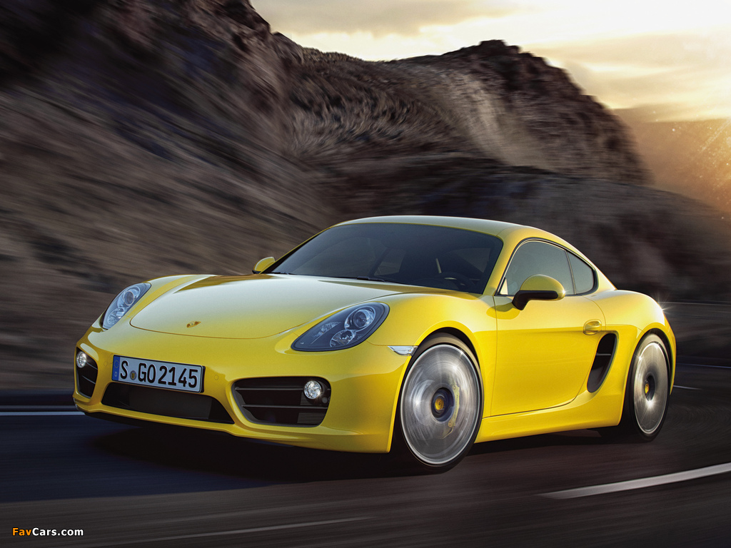 Porsche Cayman S (981C) 2013 photos (1024 x 768)