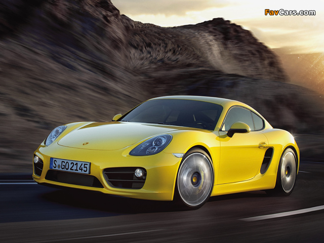 Porsche Cayman S (981C) 2013 photos (640 x 480)