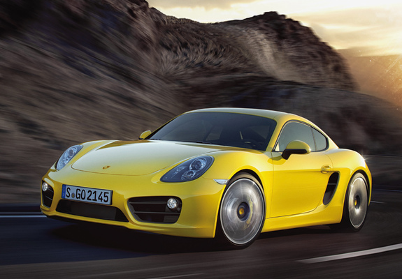 Porsche Cayman S (981C) 2013 photos