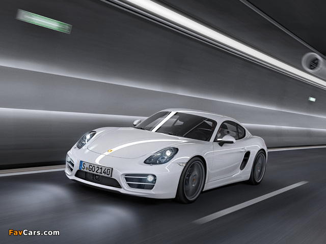 Porsche Cayman (981C) 2013 photos (640 x 480)