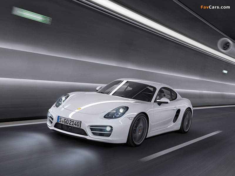 Porsche Cayman (981C) 2013 photos (800 x 600)