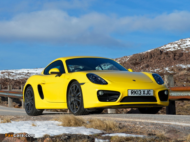 Porsche Cayman S UK-spec (981C) 2013 photos (640 x 480)