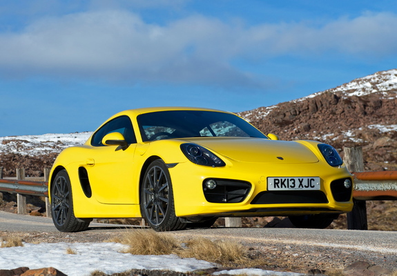 Porsche Cayman S UK-spec (981C) 2013 photos