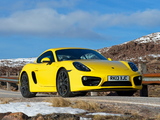 Porsche Cayman S UK-spec (981C) 2013 photos