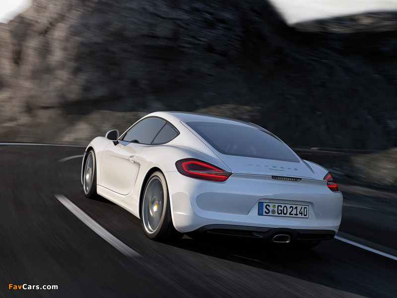 Porsche Cayman (981C) 2013 photos (800 x 600)