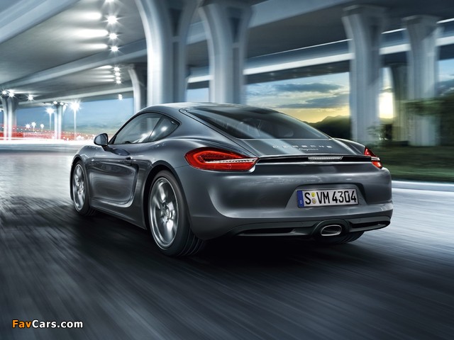 Porsche Cayman (981C) 2013 photos (640 x 480)