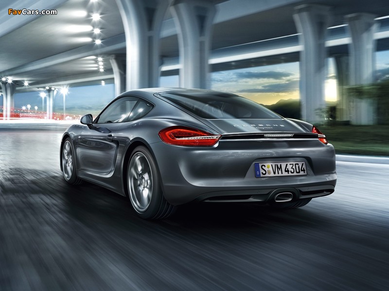 Porsche Cayman (981C) 2013 photos (800 x 600)