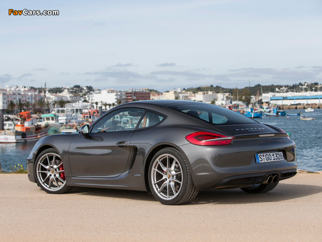 Porsche Cayman S (981C) 2013 photos (640 x 480)