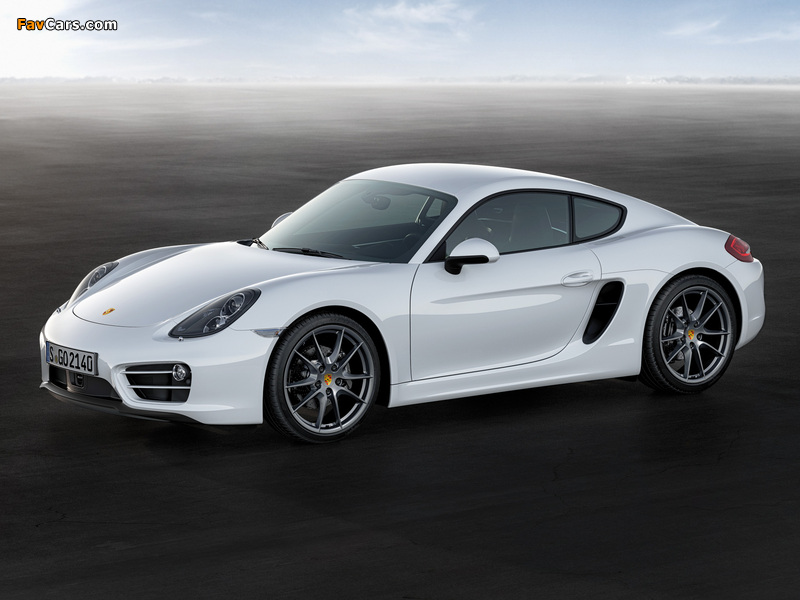 Porsche Cayman (981C) 2013 photos (800 x 600)