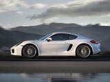 Porsche Cayman (981C) 2013 pictures