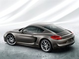 Porsche Cayman (981C) 2013 pictures