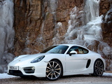 Porsche Cayman UK-spec (981C) 2013 wallpapers