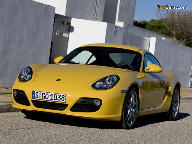 Porsche Cayman S (987C) 2009 wallpapers (640 x 480)