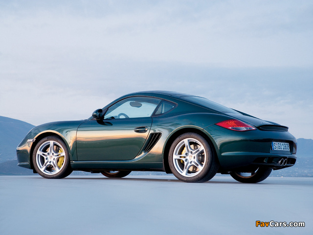 Porsche Cayman S (987C) 2009 wallpapers (640 x 480)