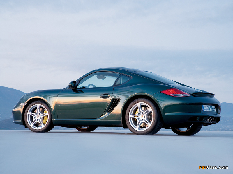 Porsche Cayman S (987C) 2009 wallpapers (800 x 600)