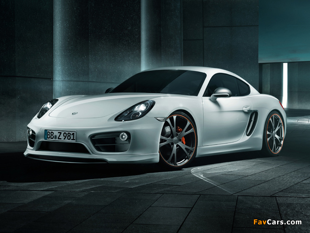 TechArt Porsche Cayman (981C) 2013 wallpapers (640 x 480)