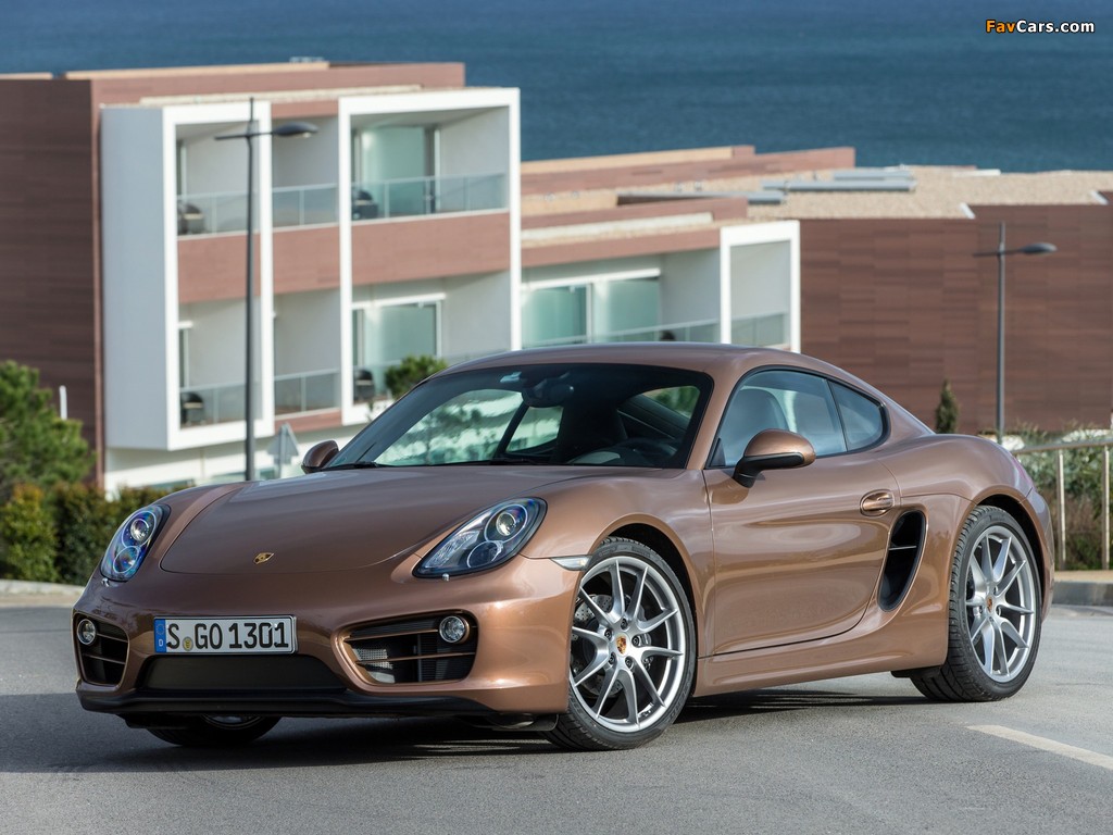 Porsche Cayman (981C) 2013 wallpapers (1024 x 768)