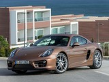 Porsche Cayman (981C) 2013 wallpapers