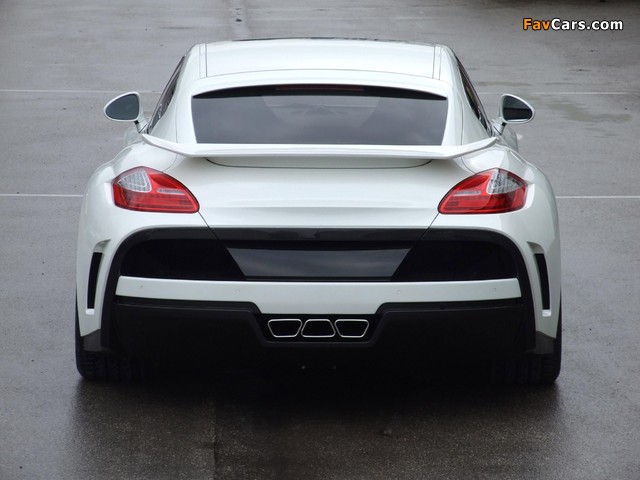 FAB Design Porsche Panamera (970) 2009 images (640 x 480)