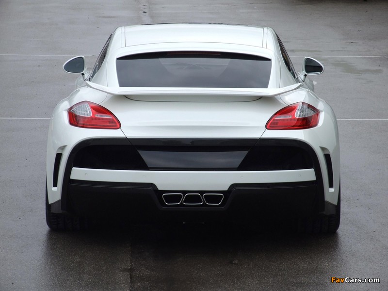 FAB Design Porsche Panamera (970) 2009 images (800 x 600)